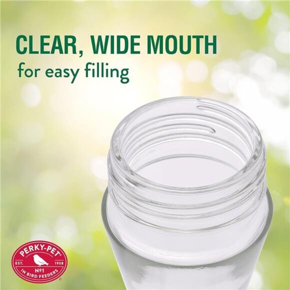 2 Glass Hummingbird Feeders for Outdoors with Perches, Ant Moat, Bee Guards - Picture 3 of 7